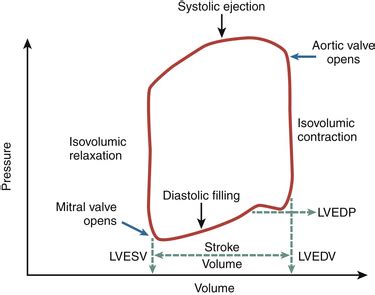 what is end diastolic pressure